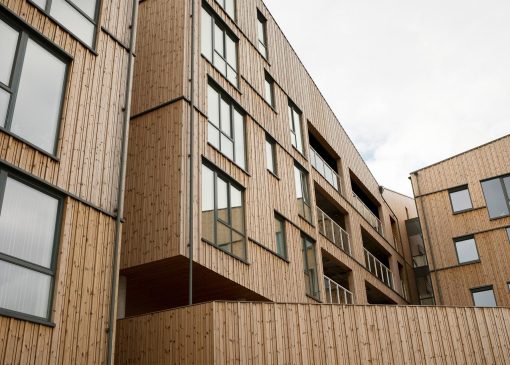 قبل از خرید ترموود این نکات مهم را حتما بدانید!