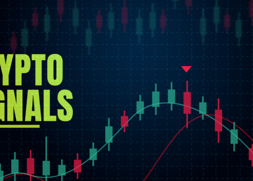 راهنمای کامل استفاده از سیگنال کریپتو برای معامله‌گران تازه‌کار