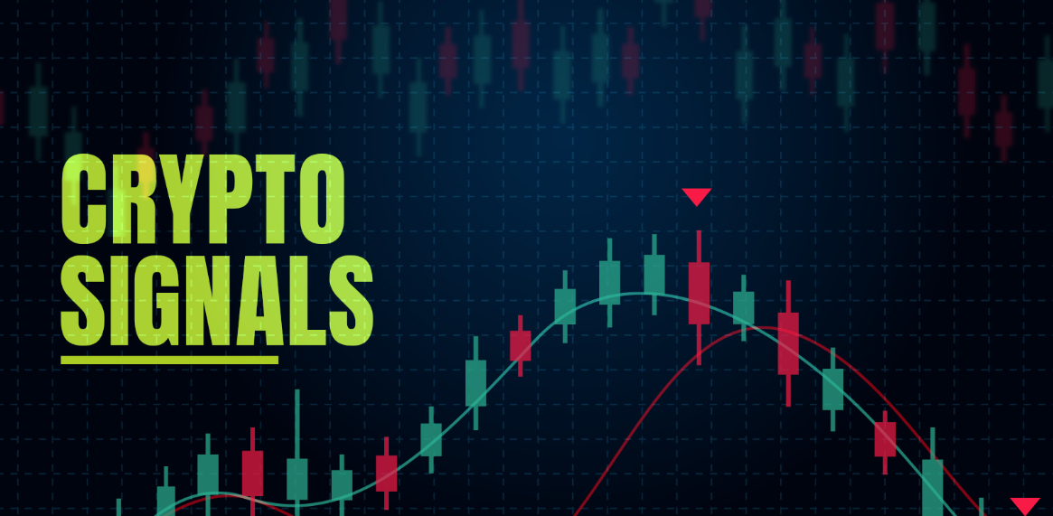 راهنمای کامل استفاده از سیگنال کریپتو برای معامله‌گران تازه‌کار